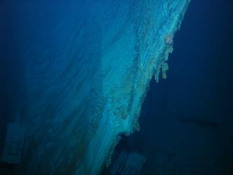 Stem of bow